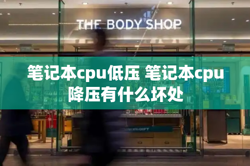 笔记本cpu低压 笔记本cpu降压有什么坏处-第1张图片-星选测评