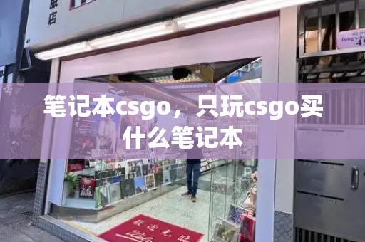笔记本csgo，只玩csgo买什么笔记本
