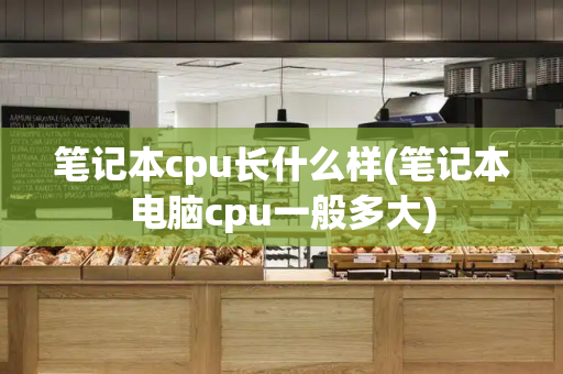 笔记本cpu长什么样(笔记本电脑cpu一般多大)
