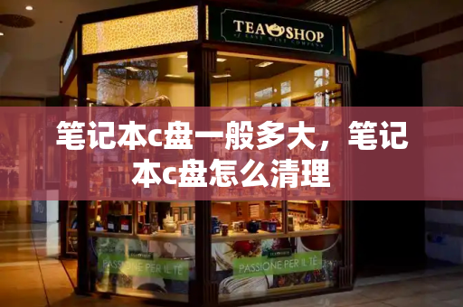 笔记本c盘一般多大，笔记本c盘怎么清理-第1张图片-星选测评