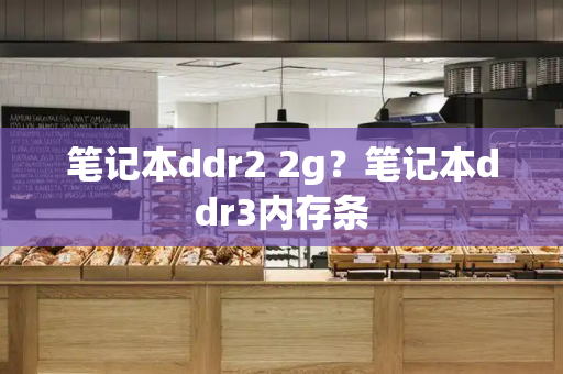 笔记本ddr2 2g？笔记本ddr3内存条-第1张图片-星选测评
