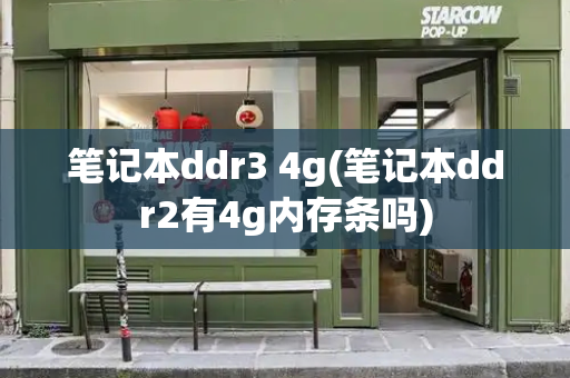 笔记本ddr3 4g(笔记本ddr2有4g内存条吗)