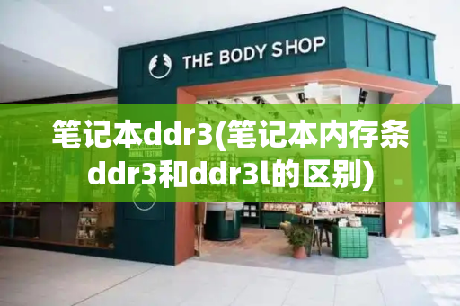 笔记本ddr3(笔记本内存条ddr3和ddr3l的区别)-第1张图片-星选测评