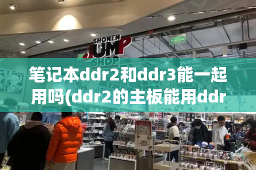 笔记本ddr2和ddr3能一起用吗(ddr2的主板能用ddr3吗)-第1张图片-星选测评