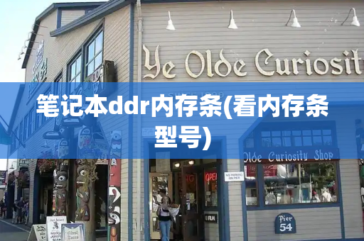 笔记本ddr内存条(看内存条型号)-第1张图片-星选测评