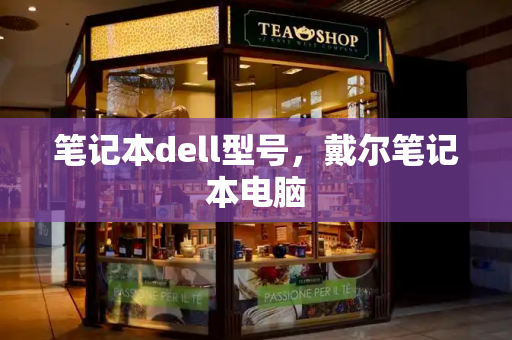 笔记本dell型号，戴尔笔记本电脑-第1张图片-星选测评