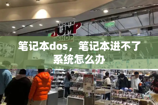 笔记本dos，笔记本进不了系统怎么办