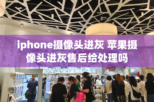iphone摄像头进灰 苹果摄像头进灰售后给处理吗-第1张图片-星选测评