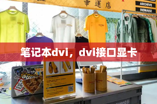 笔记本dvi，dvi接口显卡