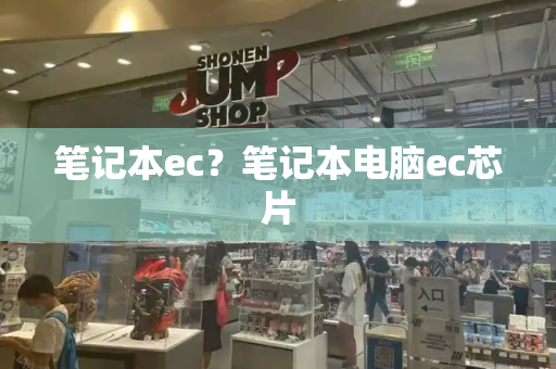 笔记本ec？笔记本电脑ec芯片-第1张图片-星选测评