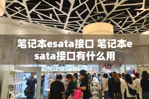 笔记本esata接口 笔记本esata接口有什么用