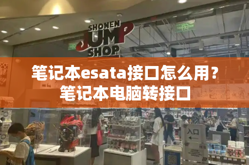 笔记本esata接口怎么用？笔记本电脑转接口