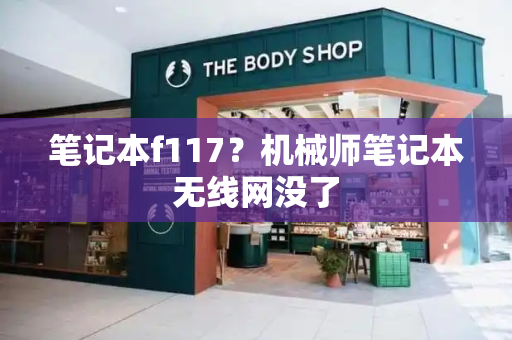 笔记本f117？机械师笔记本无线网没了-第1张图片-星选测评