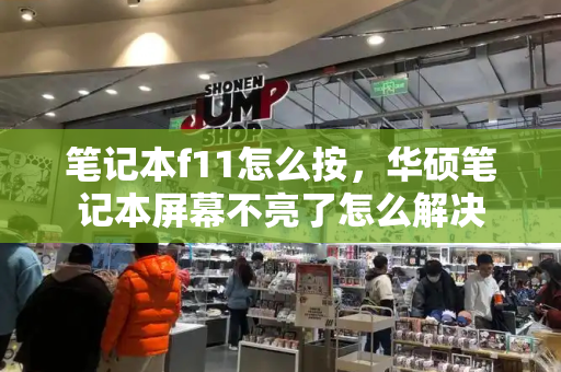笔记本f11怎么按，华硕笔记本屏幕不亮了怎么解决-第1张图片-星选测评