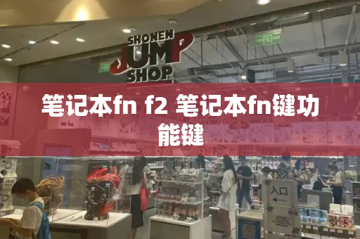 笔记本fn f2 笔记本fn键功能键-第1张图片-星选测评
