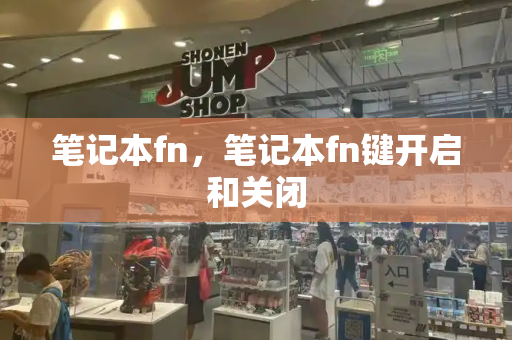 笔记本fn，笔记本fn键开启和关闭-第1张图片-星选测评