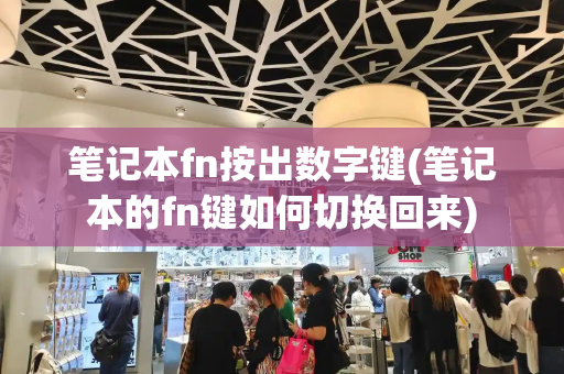 笔记本fn按出数字键(笔记本的fn键如何切换回来)-第1张图片-星选测评