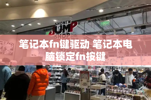 笔记本fn键驱动 笔记本电脑锁定fn按键-第1张图片-星选测评