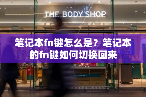 笔记本fn键怎么是？笔记本的fn键如何切换回来-第1张图片-星选测评