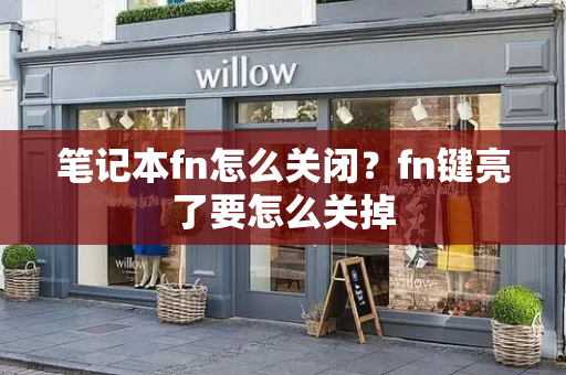笔记本fn怎么关闭？fn键亮了要怎么关掉-第1张图片-星选测评