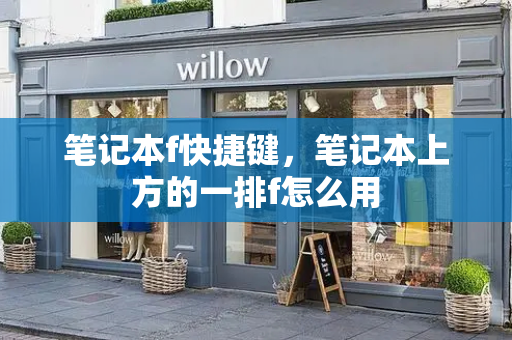 笔记本f快捷键，笔记本上方的一排f怎么用-第1张图片-星选测评