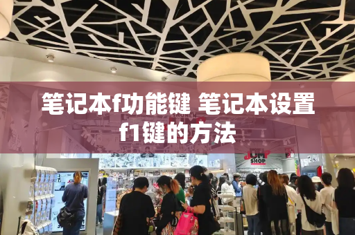 笔记本f功能键 笔记本设置f1键的方法-第1张图片-星选测评