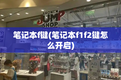 笔记本f键(笔记本f1f2键怎么开启)-第1张图片-星选测评