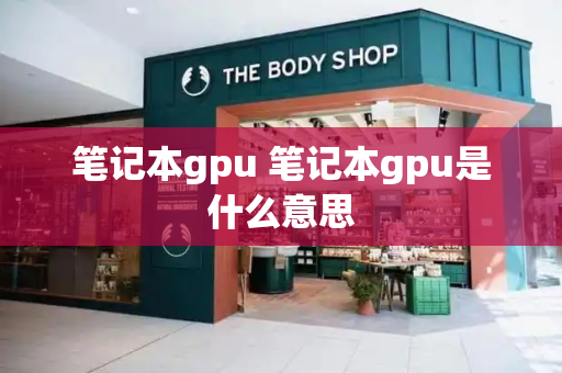 笔记本gpu 笔记本gpu是什么意思-第1张图片-星选测评