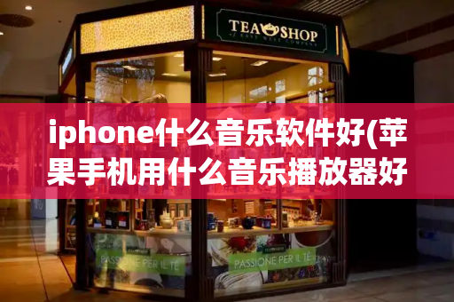 iphone什么音乐软件好(苹果手机用什么音乐播放器好)