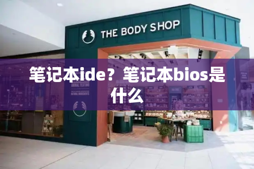 笔记本ide？笔记本bios是什么-第1张图片-星选测评