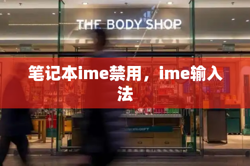 笔记本ime禁用，ime输入法