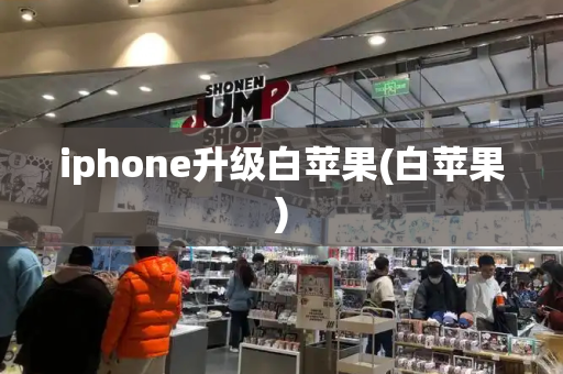 iphone升级白苹果(白苹果)
