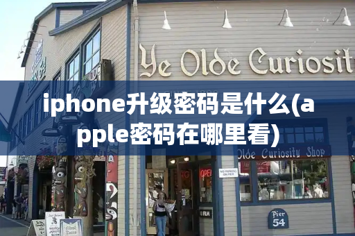 iphone升级密码是什么(apple密码在哪里看)-第1张图片-星选测评