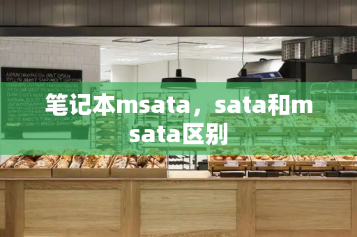 笔记本msata，sata和msata区别