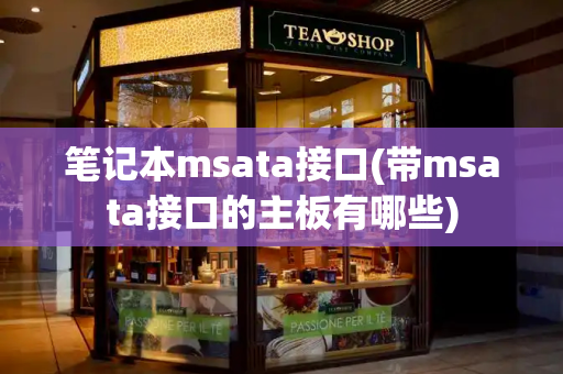 笔记本msata接口(带msata接口的主板有哪些)