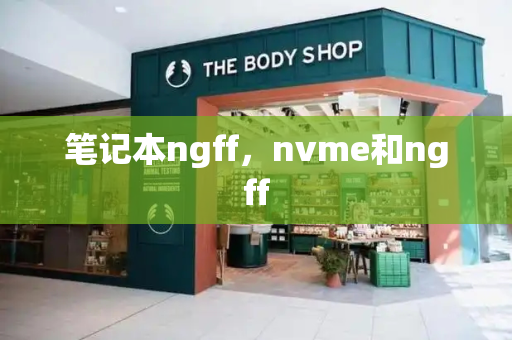 笔记本ngff，nvme和ngff