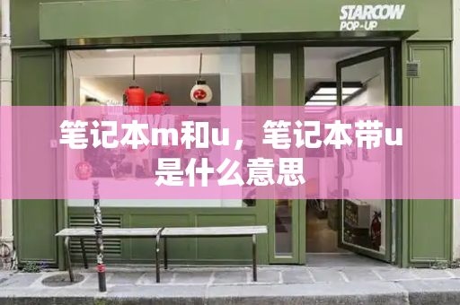 笔记本m和u，笔记本带u是什么意思