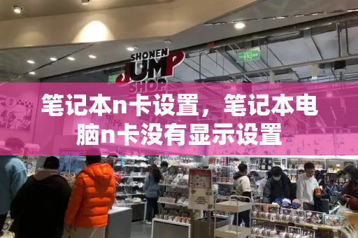 笔记本n卡设置，笔记本电脑n卡没有显示设置