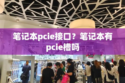笔记本pcie接口？笔记本有pcie槽吗