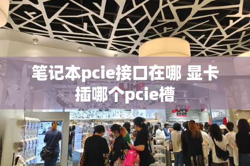 笔记本pcie接口在哪 显卡插哪个pcie槽