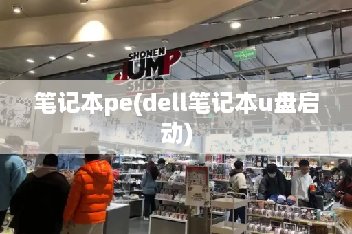 笔记本pe(dell笔记本u盘启动)-第1张图片-星选测评