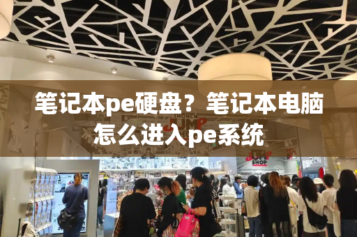 笔记本pe硬盘？笔记本电脑怎么进入pe系统