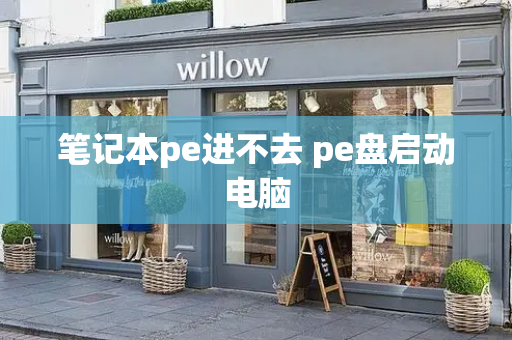 笔记本pe进不去 pe盘启动电脑