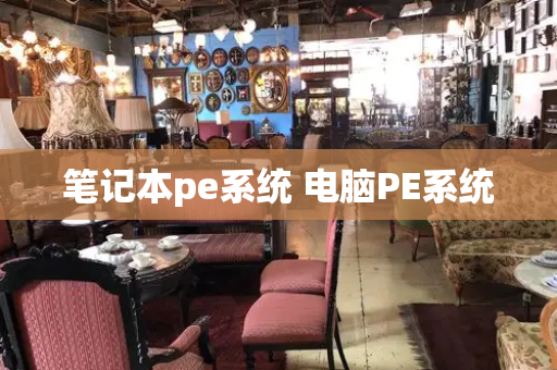 笔记本pe系统 电脑PE系统-第1张图片-星选测评