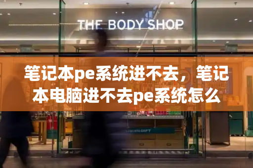 笔记本pe系统进不去，笔记本电脑进不去pe系统怎么办