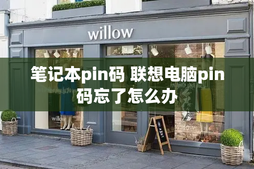 笔记本pin码 联想电脑pin码忘了怎么办-第1张图片-星选测评