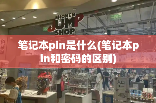 笔记本pin是什么(笔记本pin和密码的区别)-第1张图片-星选测评