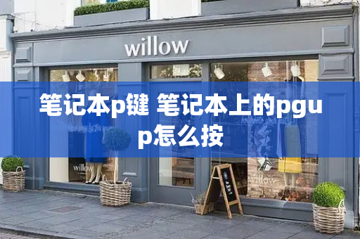 笔记本p键 笔记本上的pgup怎么按