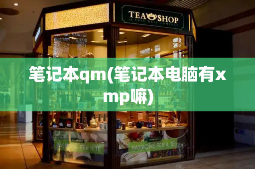 笔记本qm(笔记本电脑有xmp嘛)-第1张图片-星选测评