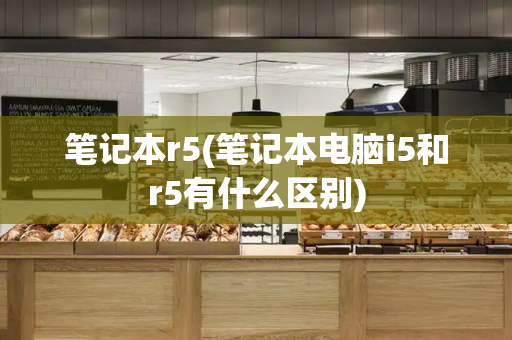 笔记本r5(笔记本电脑i5和r5有什么区别)-第1张图片-星选测评